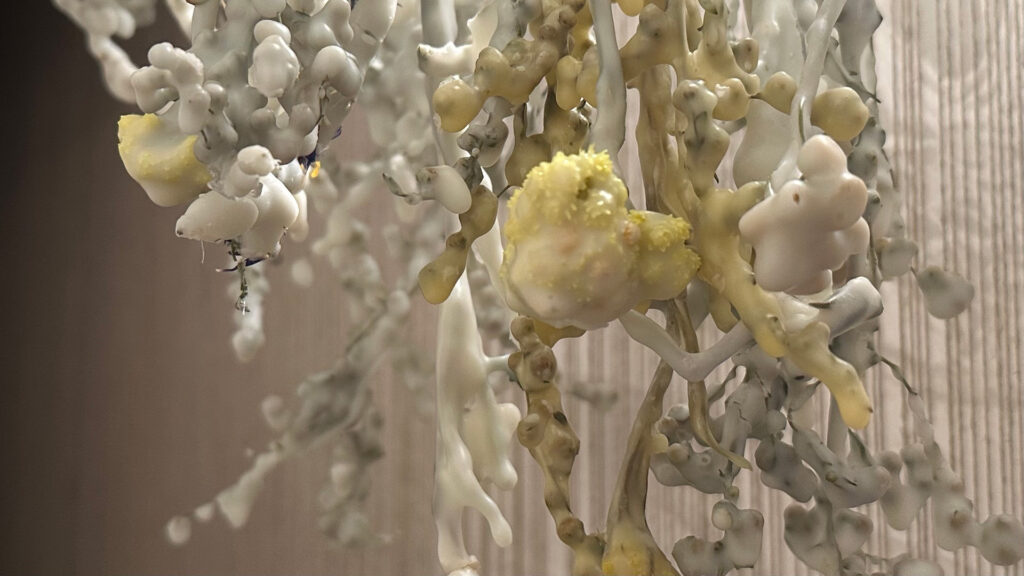 Underground forest by Choni Polina.